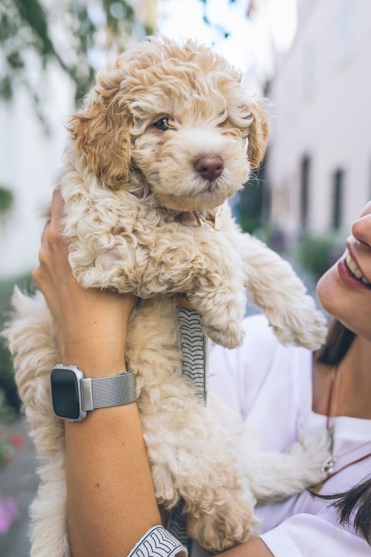 I Put a GPS Tracker on My Dog for a Week