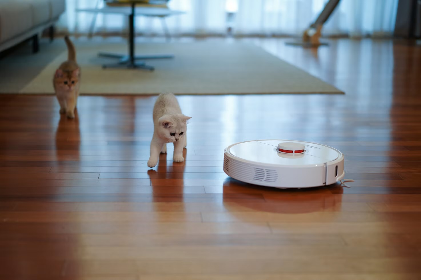I Let a Robot Vacuum Run My House for 30 Days — Here's the Honest Verdict